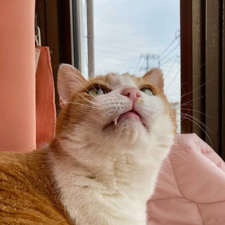 76053ad9 e4ba 49f7 a274 6ad9c4f19f19 1648336577040