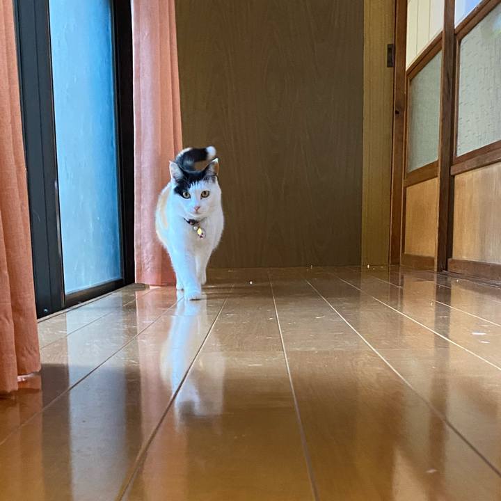 76054df9 8300 4936 b043 52c888178e66 1646552187227