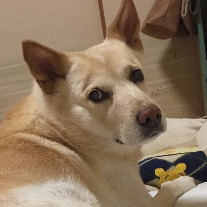 76057129 f868 4e05 bc0e 7e633efaa0fe 1523272169459