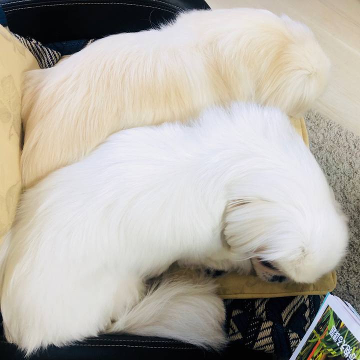 76062aeb 2d44 4fe7 a64a 49245fd1962a 1588053511342