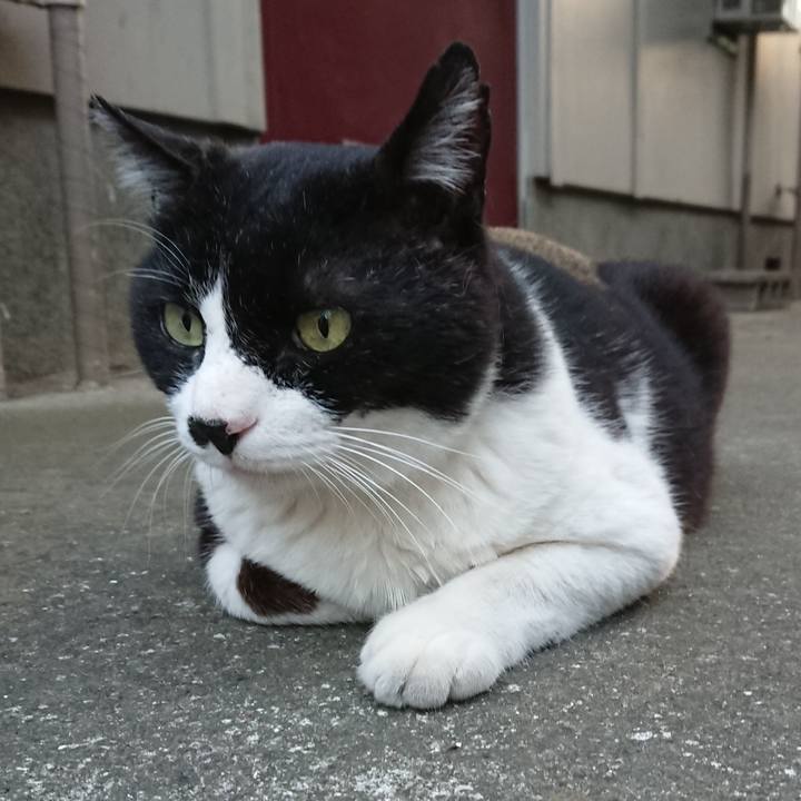 760645f1 93b9 482f ae81 2996dec196b6 1526894871447