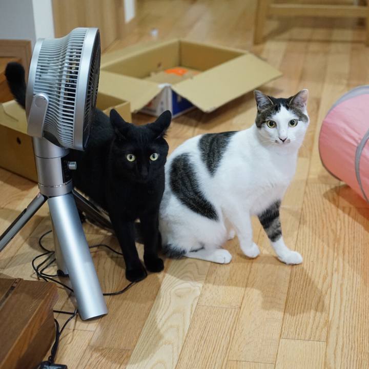 7606decb da11 4644 95c0 aaa81846054a 1528933083553