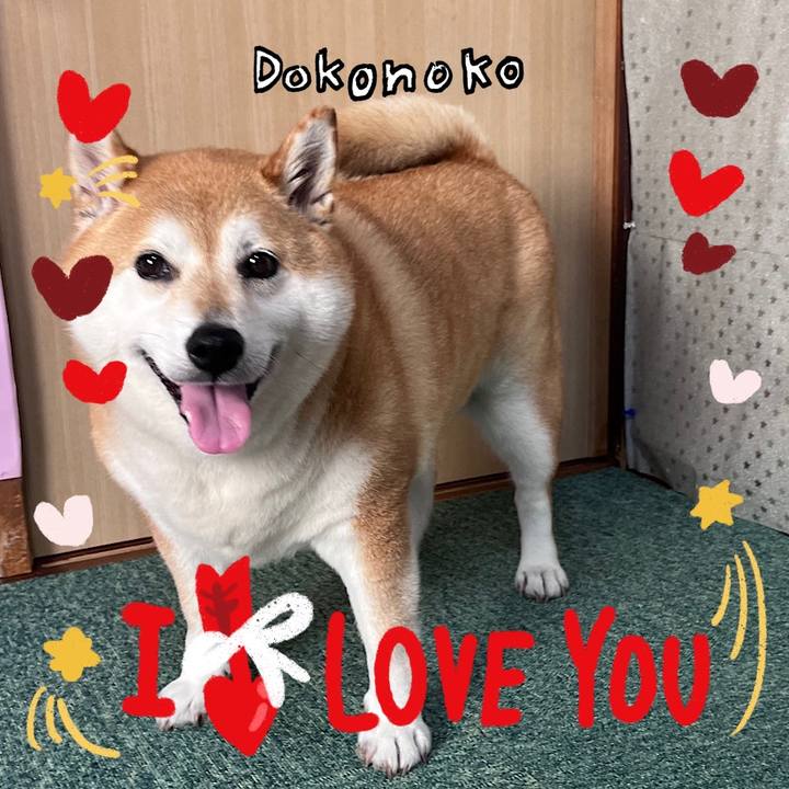 7606e3dc 45cb 4ccf b693 6022e4672217 1706833109212