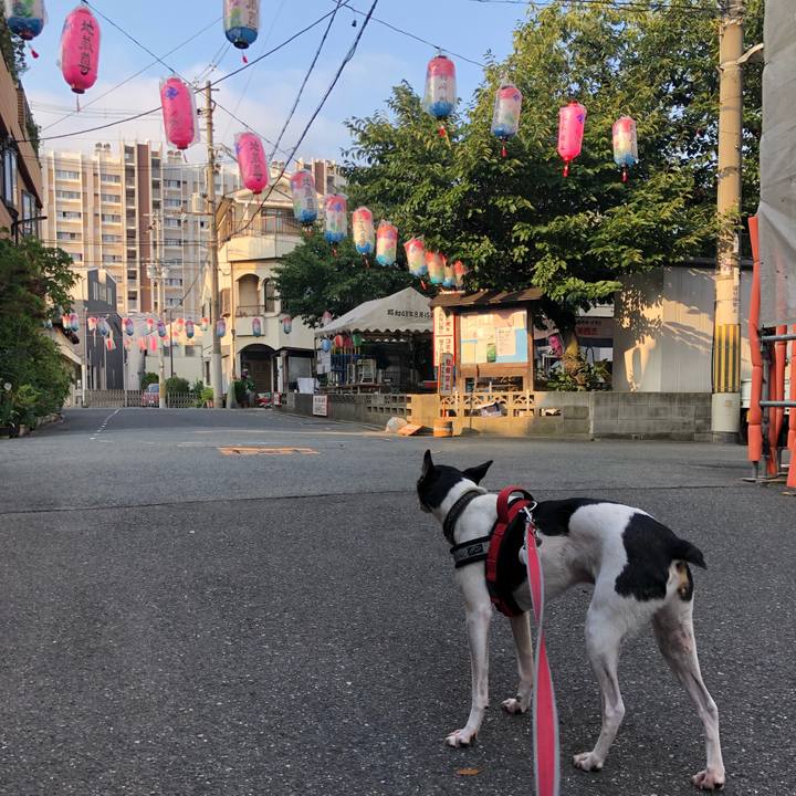 76076131 065d 4089 bcf2 b2f57a268d1e 1566707722183