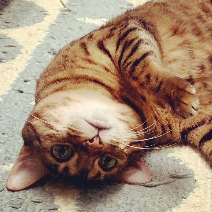 76076490 a8c7 4a18 b014 dabb9d151943 1599519434541