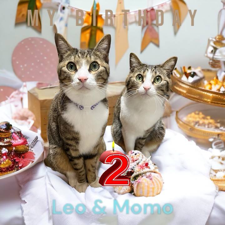 76078063 c45f 4f93 ace3 0e79756d6581 1713540726272