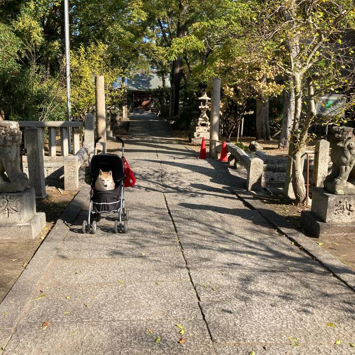 760785db 7e61 4851 9e7e 63a75834fe39 1637147008312