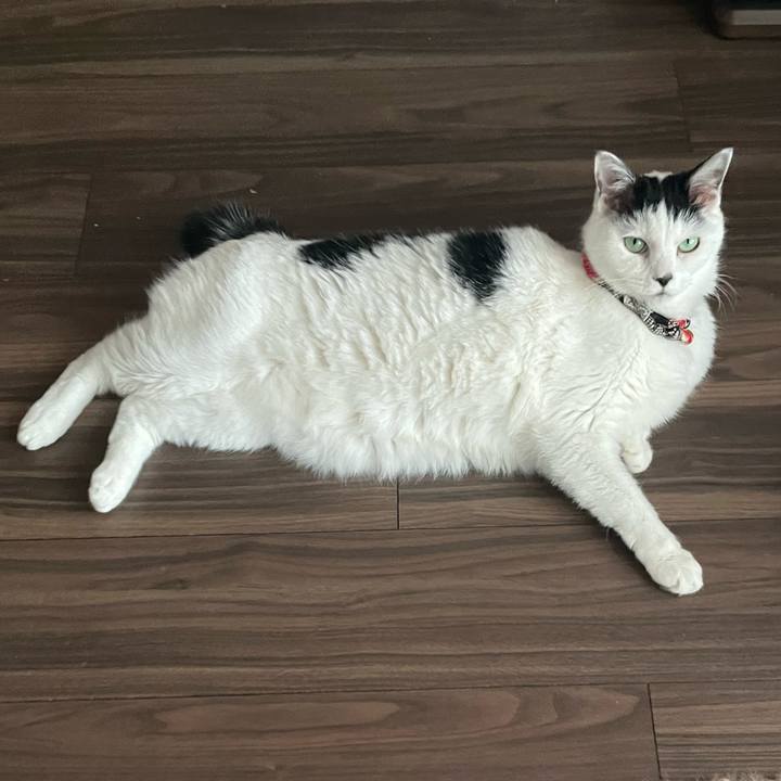 7607f4a6 786b 409e 9c4e e378f73694bf 1705825375508