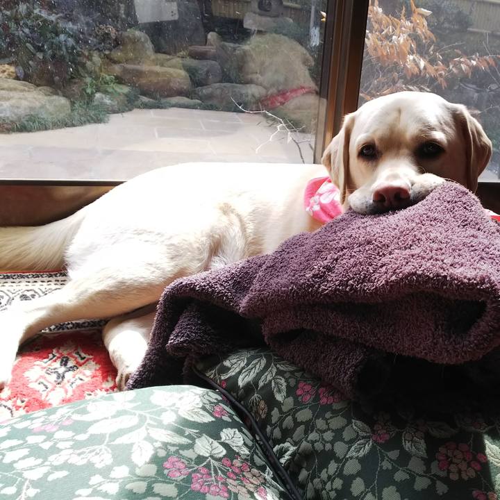 760808c8 0837 4f97 a22b 7a66eea21f6c 1550977352848