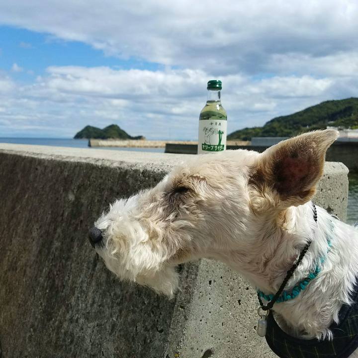 76080a39 e958 4bdb a1b0 b31e57c80b27 1523781294846