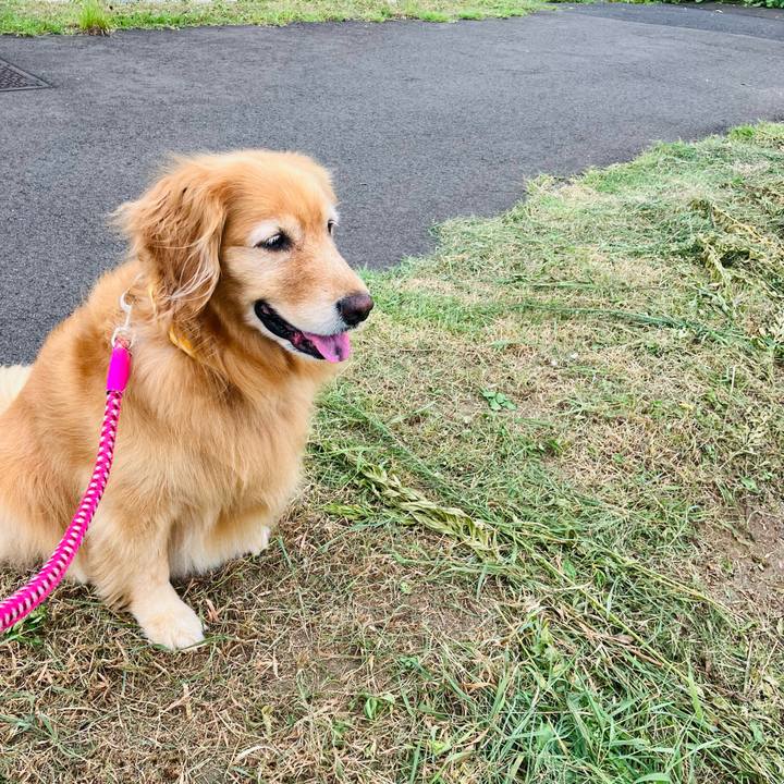 760832ab cbfb 4d23 acb0 f68f96e769f4 1724926771595