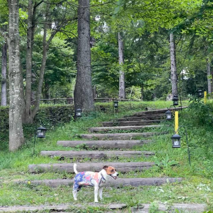 76083843 eeef 4274 a62d 3c8b4e069775 1630835323896