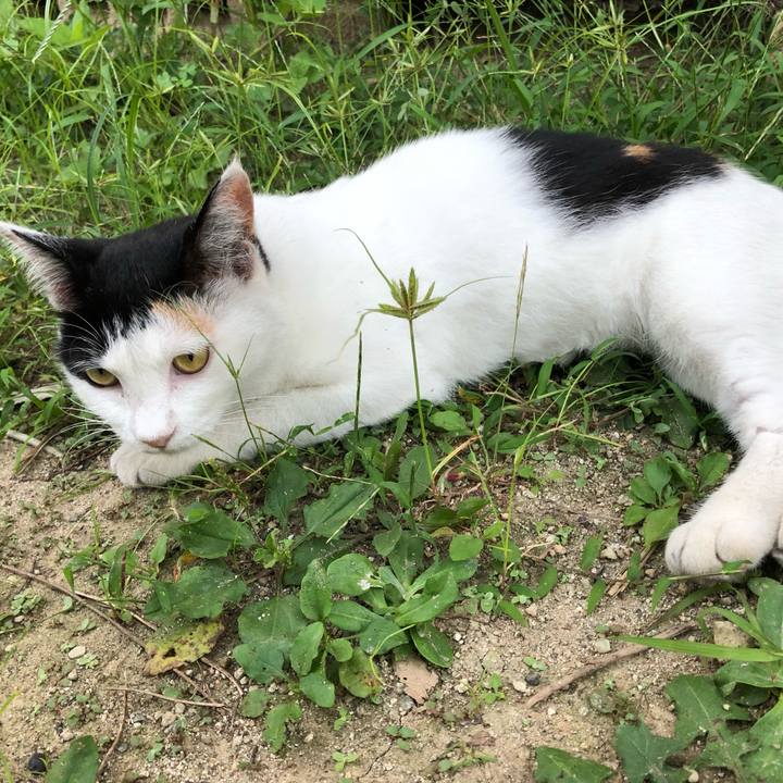 76083858 2129 42ab 8174 83c9dfb607af 1598264458386