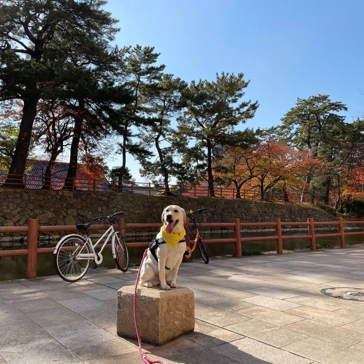 760862b6 f7b8 4cb1 b91b 5d70492e843c 1637364025599