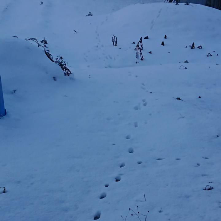 76087bfa be45 444b 8dd2 95f076ee4407 1581113297394