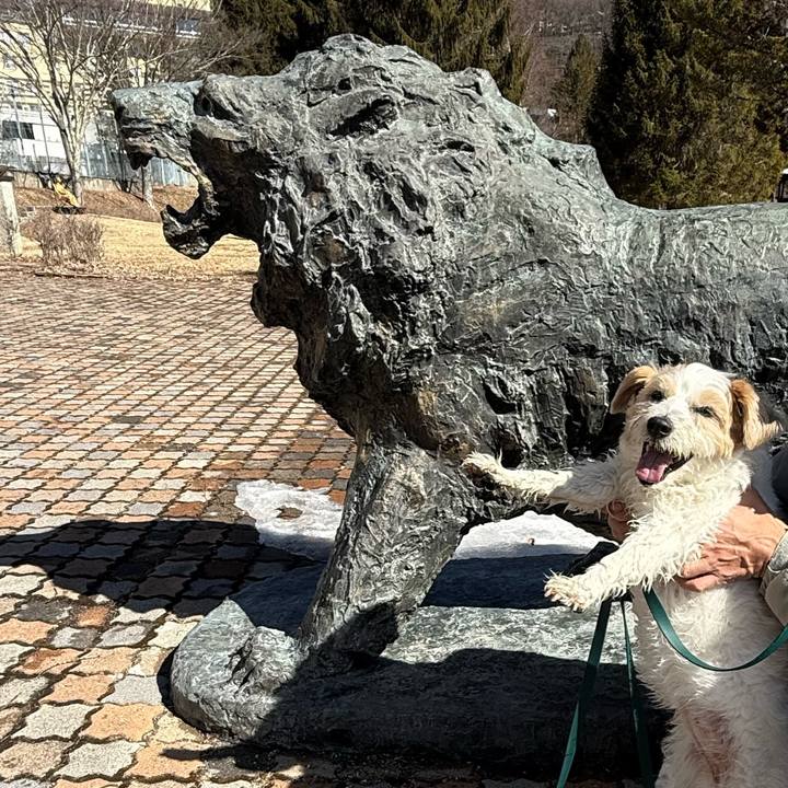 7608905d d5c3 4da3 9528 4af1a50e8a4c 1771745006909