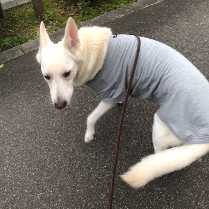 7608c572 7ab3 4429 a237 ebc96978406c 1577609214343