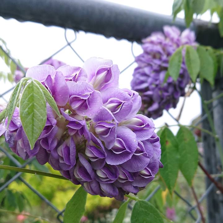 76092aec a53b 4104 9a94 5fe34a47c493 1620732141483