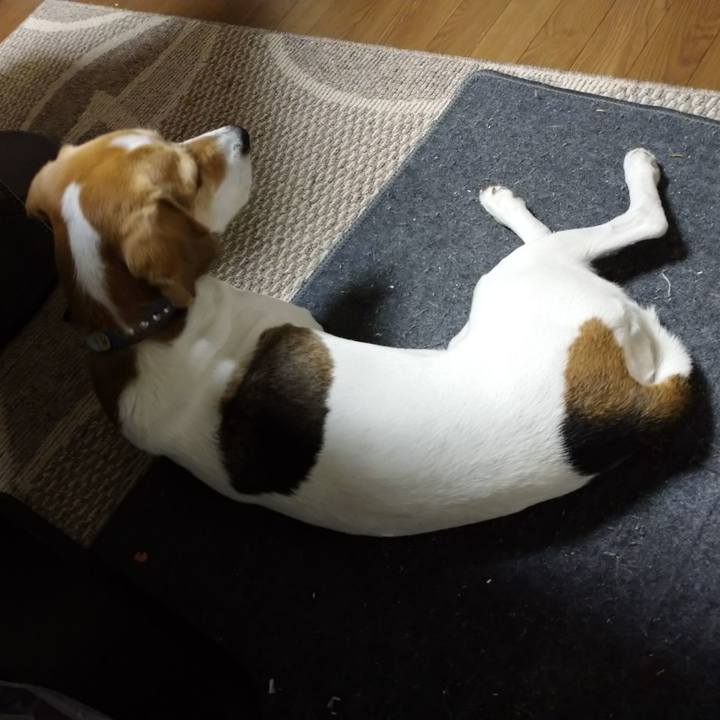 76092f4e 47d3 443e bff0 2c2b1af7a285 1605772164501