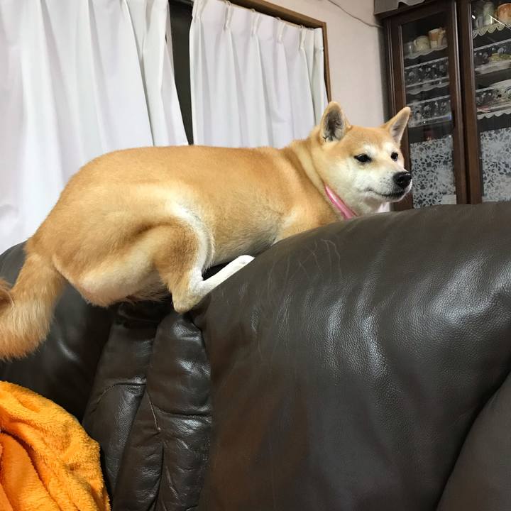 7609752c b4e6 4c76 93ec 75e8acd13cc6 1547039261826