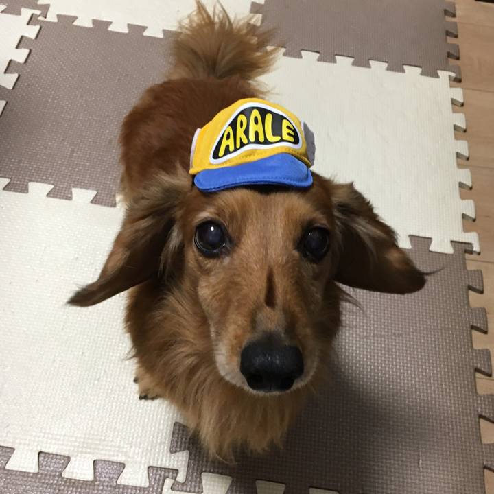 760985d2 fdaf 4964 81a0 1d515349d897 1576765274274