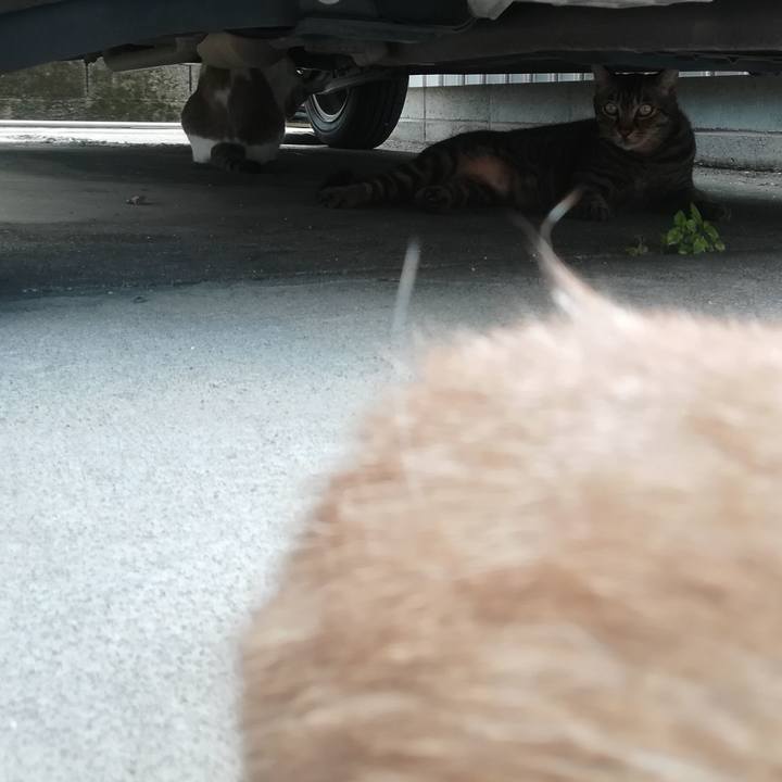 760989d6 ce0d 4cad a19b 75d58c80f3bb 1566436273523