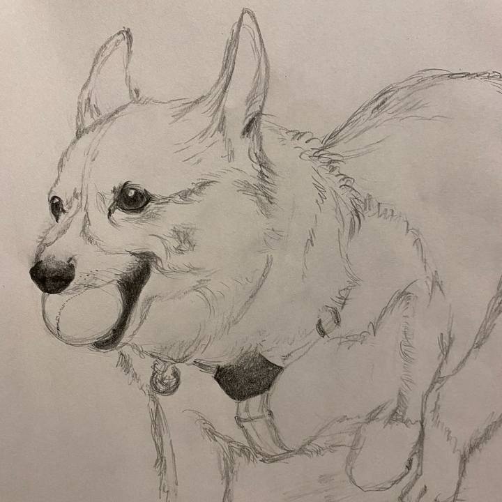 76099c32 2714 45cb b64f 1c66e20f7414 1605432104702