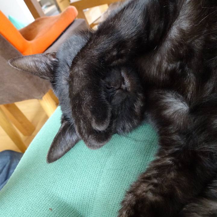 7609ae96 dd9c 4142 ae62 c55b56677ae9 1525662542583