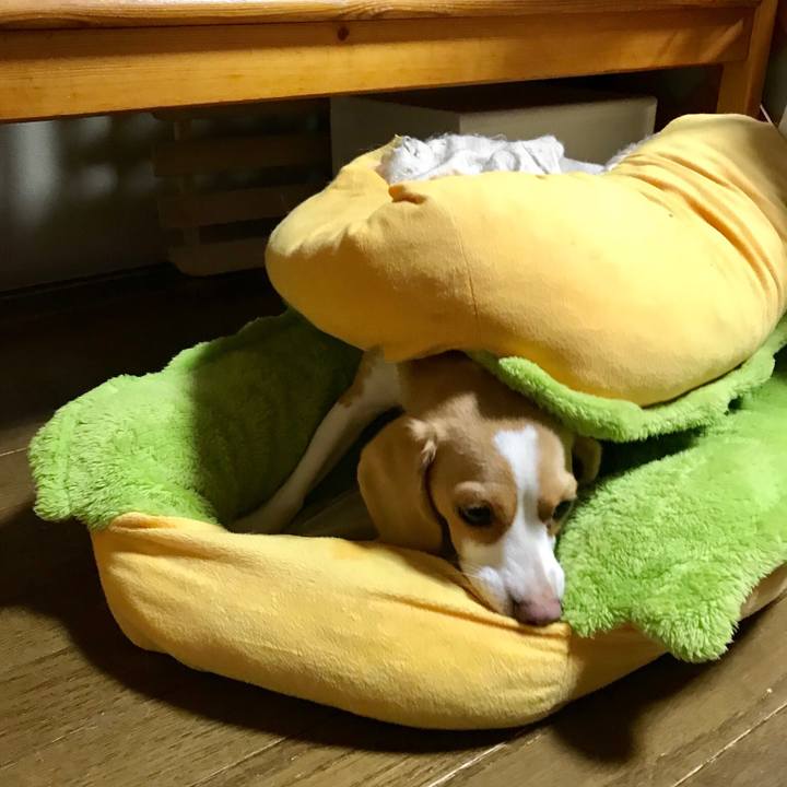 7609b826 18e7 4034 8b16 4ffb6f862c52 1536408967724