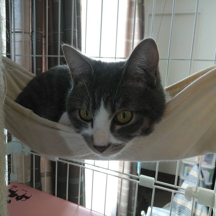 760a011a 060c 4e03 91ae a24152a22800 1581308533406