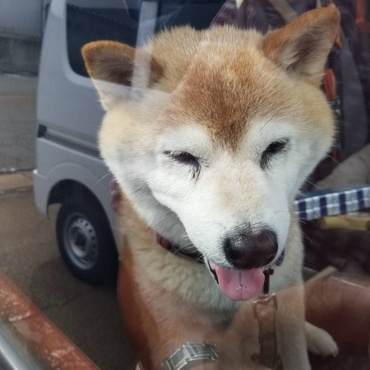 760a0559 632d 42d0 9e5f f20f0d4c7d3e 1719901071235