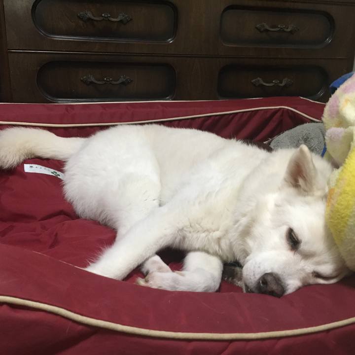 760a3a5b cd7e 4246 97fa 0360c2ad28ec 1524182922841