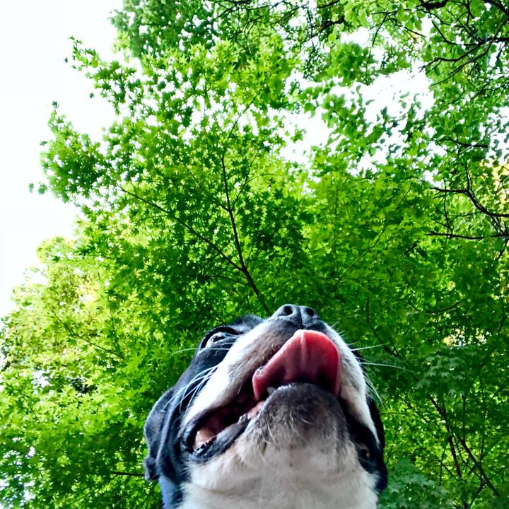 760a44a4 5a2e 4d1c 9524 820697e2c4de 1535201060629