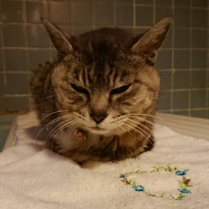 760a4a51 34b8 421c 84ec b481a1dfa669 1593426861274