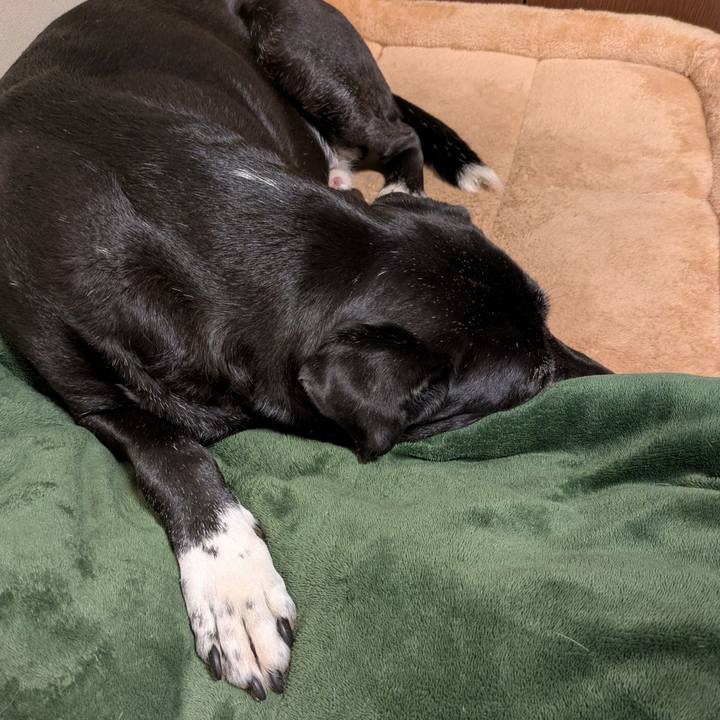 760a83aa 96cd 4f5a b217 fa2c640dd635 1771059339494