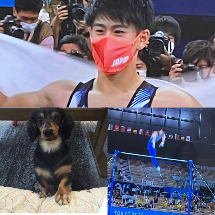 760a8ca8 87e2 4472 a120 e3f0934dea70 1627987117081