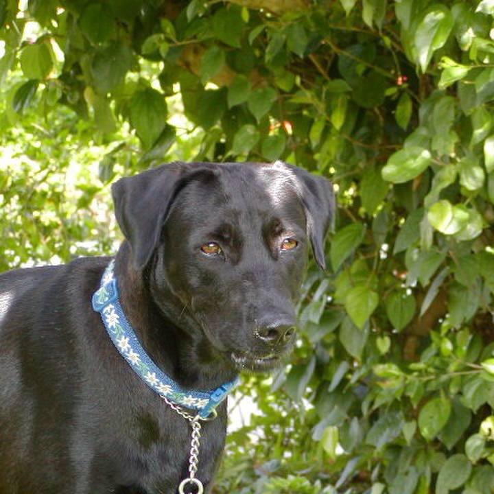 760a985b 91ba 4707 a474 91c0ca2e3bd4 1520653101744