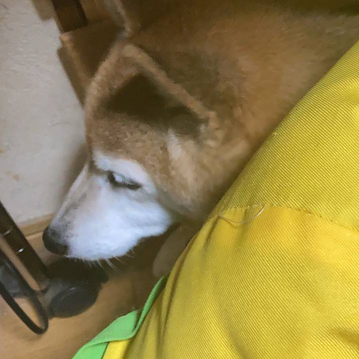 760afd11 5ad1 4078 9b25 8afefcf411fe 1757579485311