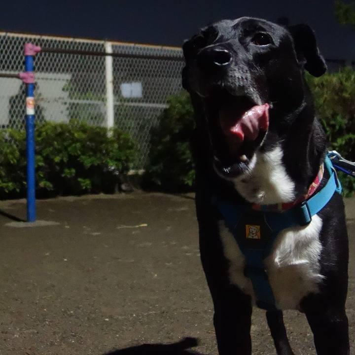 760b2bed 0356 45fb 9017 f4203a27a640 1698232119469