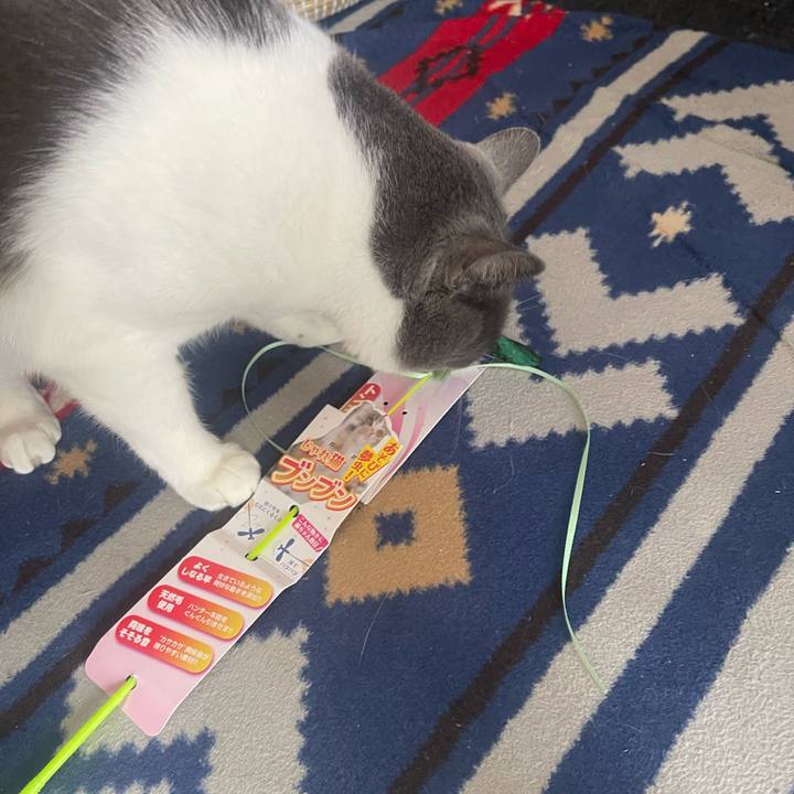 760b5719 571c 4d5e 9a73 9fe6036d5954 1688181490913