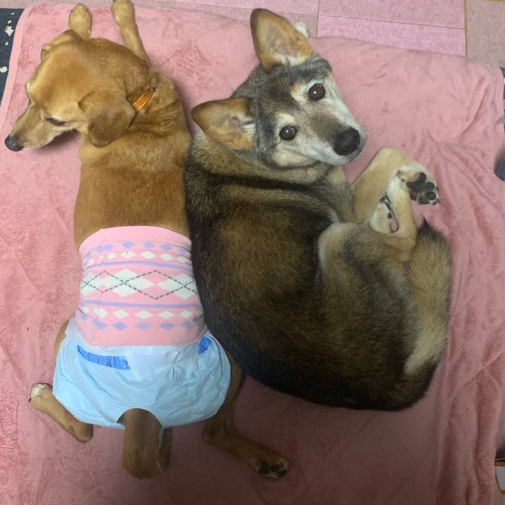 760b7de0 644c 474a 9f14 dc1e32357f48 1581992582118