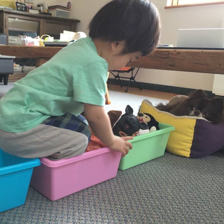 760ba0d4 8f6a 4e74 9f57 4294cc9abc0b 1527109267030