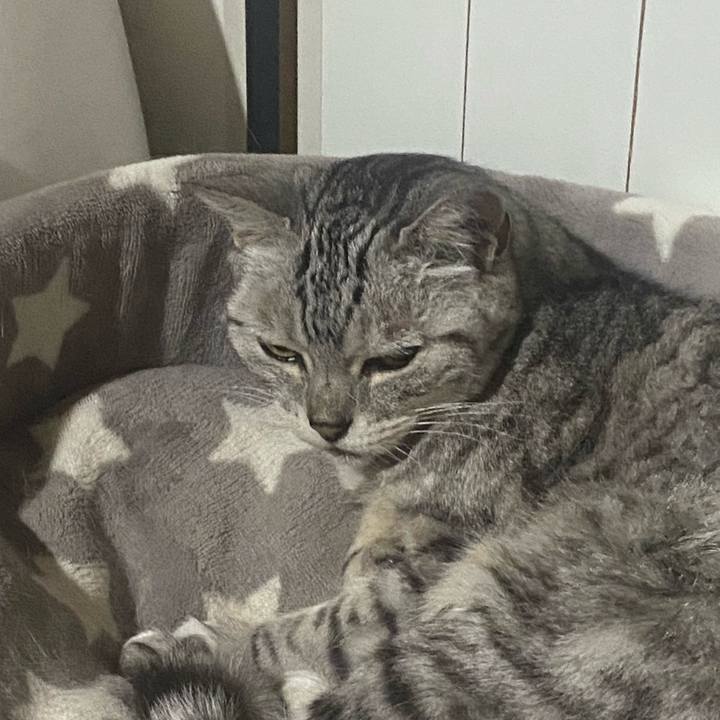 760bf3f0 3d1e 42e8 9d75 f9bbc4147ab7 1749668371611