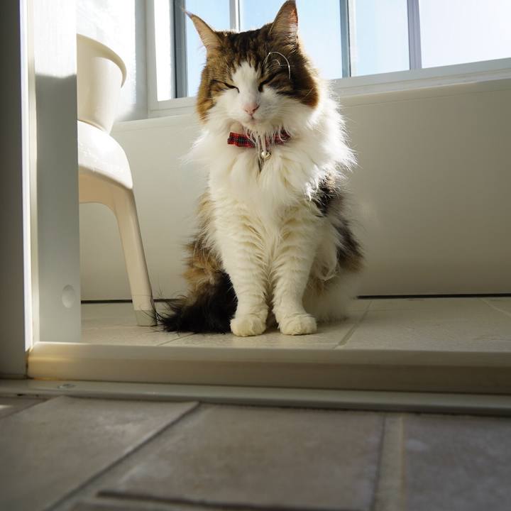 760bf471 e987 42df a003 6cf4e797dc8d 1610601100186