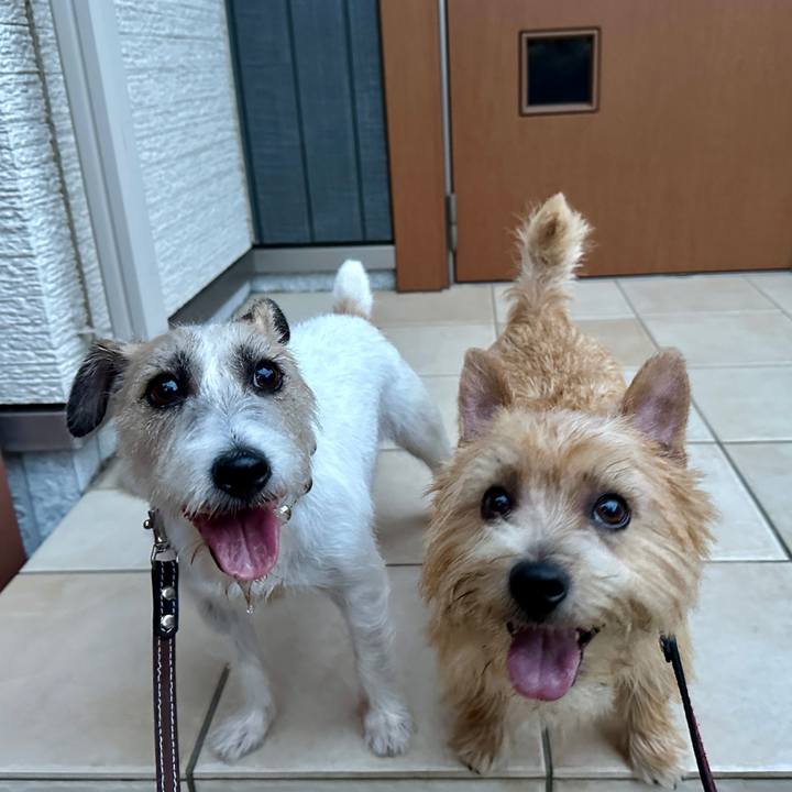 760bf48f e413 488c b4eb d3ece71e42c4 1760277730402