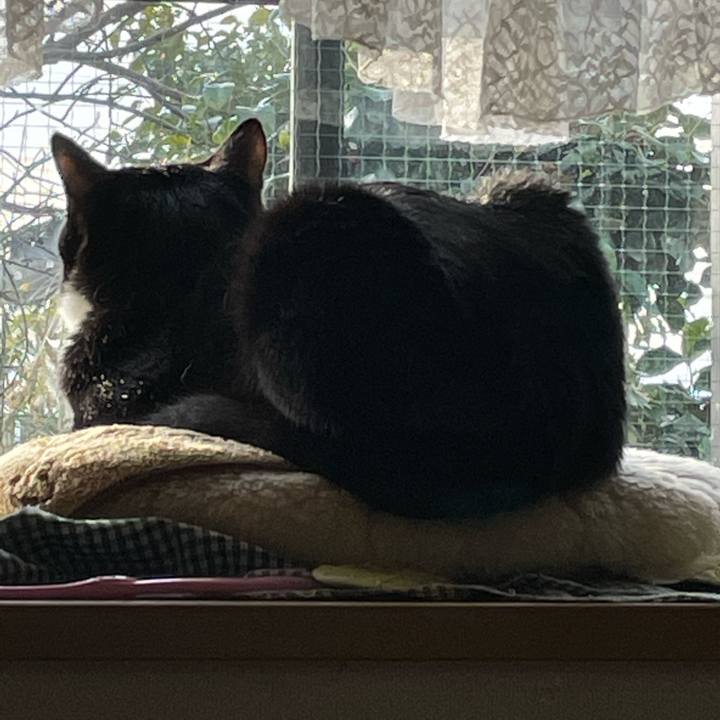 760bfac0 680e 4915 a3ee cd45ccd8b605 1655640836522