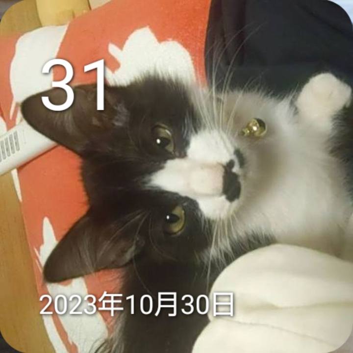 760c07ee 12fb 41f7 a625 f38477e2959d 1761905718278