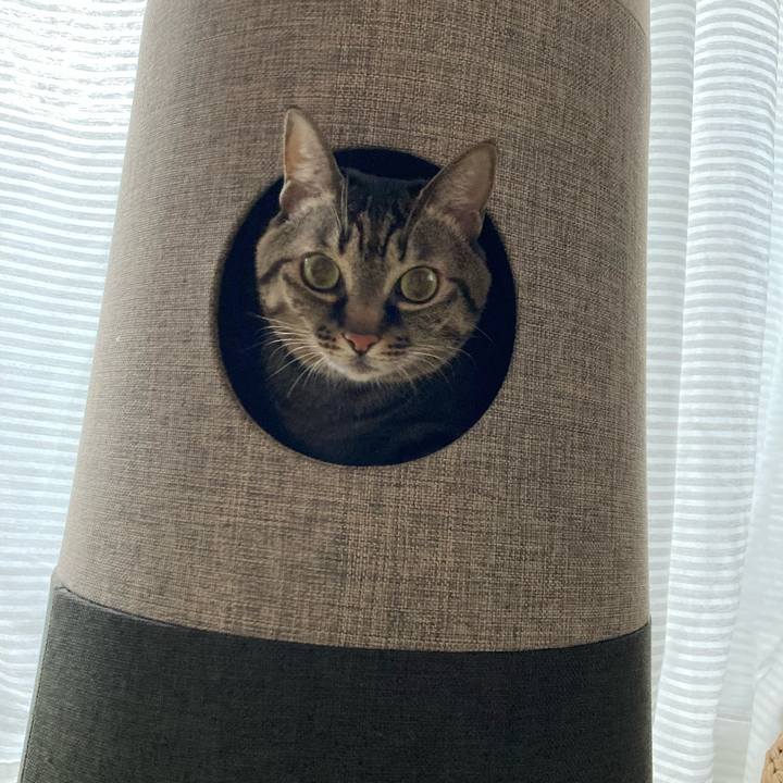 760c167f aac4 457a 80cb 6666c1133ddc 1638748658581