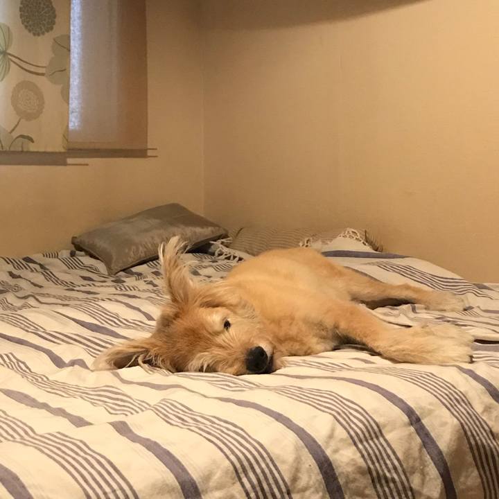 760c64fe 7892 4773 ad1d cd38f9ace0bf 1599115570607