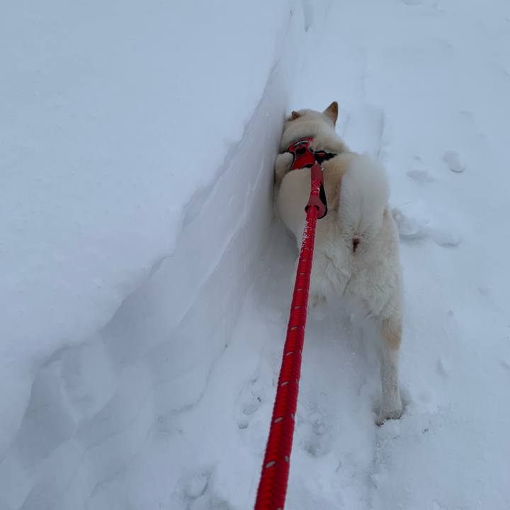 760c822f 2841 4222 9d5e aef767abb9fa 1643005528014